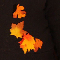 autumn leaves